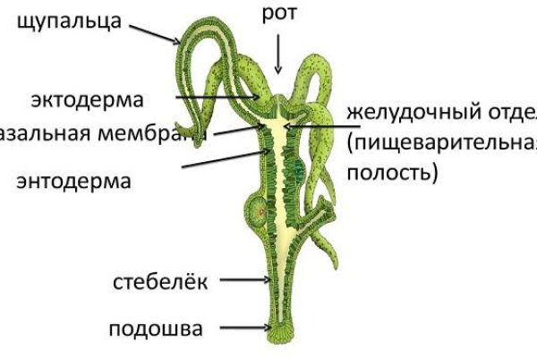 Кракен настоящий сайт