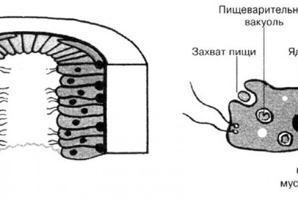 Кракен зайти зеркало